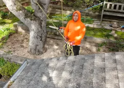 Exceptional Tree Service